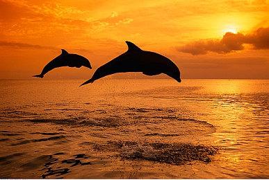 高能电玩节：《古龙风云录》游戏实机演示线上首曝！