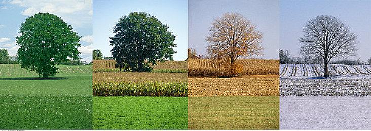 横尾太郎《尼尔：人工生命》 如何改编《小美人鱼》专访